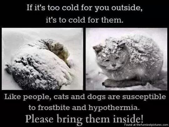 fb_img_1480114964445638148856.jpg