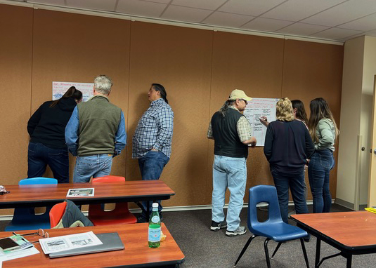 IMG_0759 workshop participants stand and talk in groups during brainstorming session