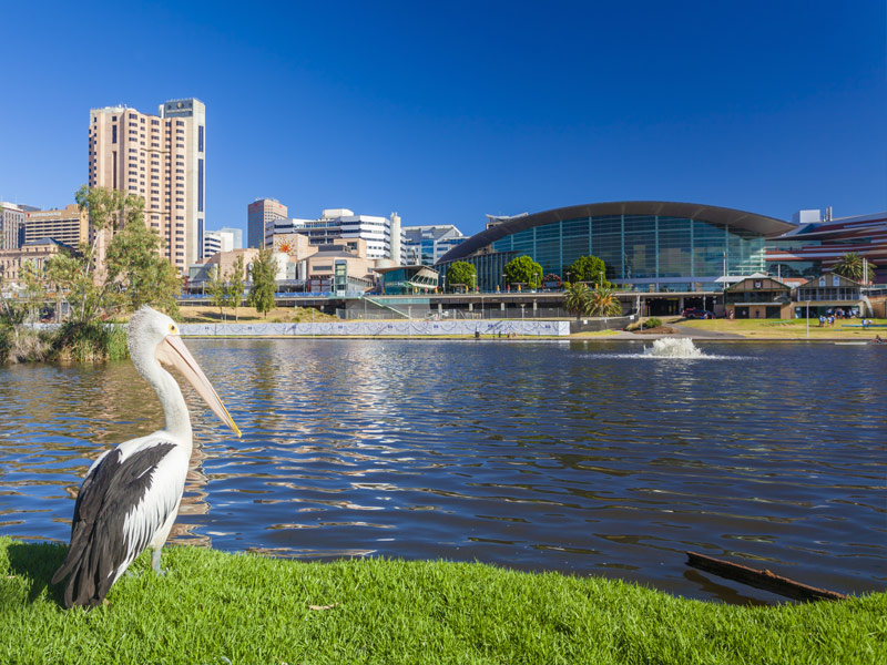 Adelaide.jpg