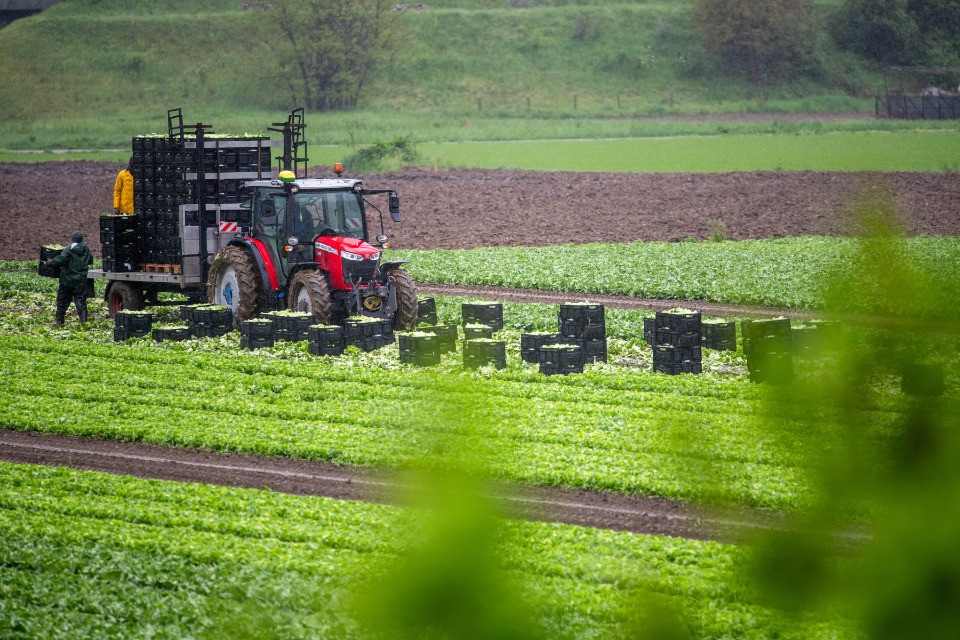 Le aziende agricole ticinesi perdono quota a vista d’occhio