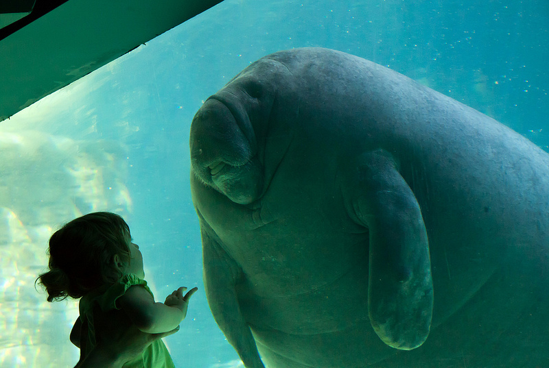 FIRST CONTACT (cmgw PHOTOGRAPH)