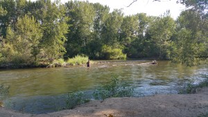 wpid-20150801_094944.jpg