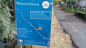 wpid-20150802_074337.jpg