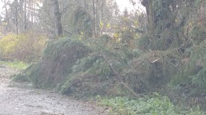 wpid-20151118_101124.jpg