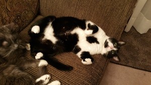 20151209_202956.jpg