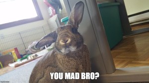 you mad bro