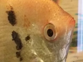 20151205_145510-1.jpg