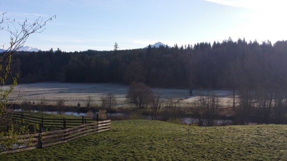 20160318_084725.jpg