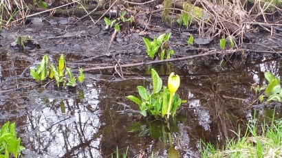 20160320_123458.jpg