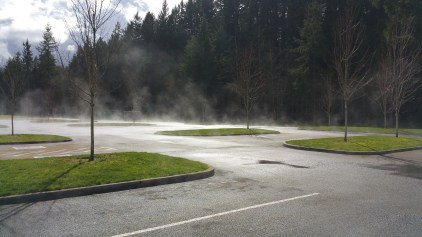 20160327_145851_001.jpg