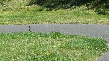 20160724_104618.jpg