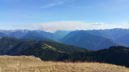20160825_171740.jpg