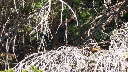 20160825_175852.jpg