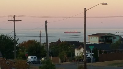 20160825_200113.jpg