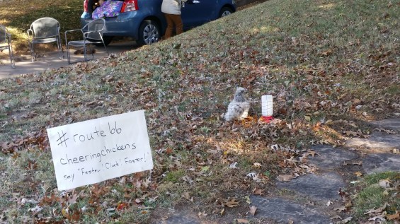 20161120_094442.jpg