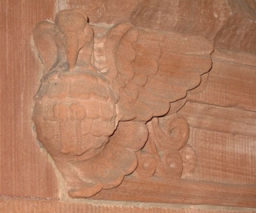 LocustStreetBird