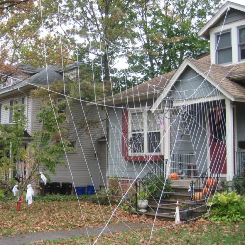 2013HalloweenSpiderweb