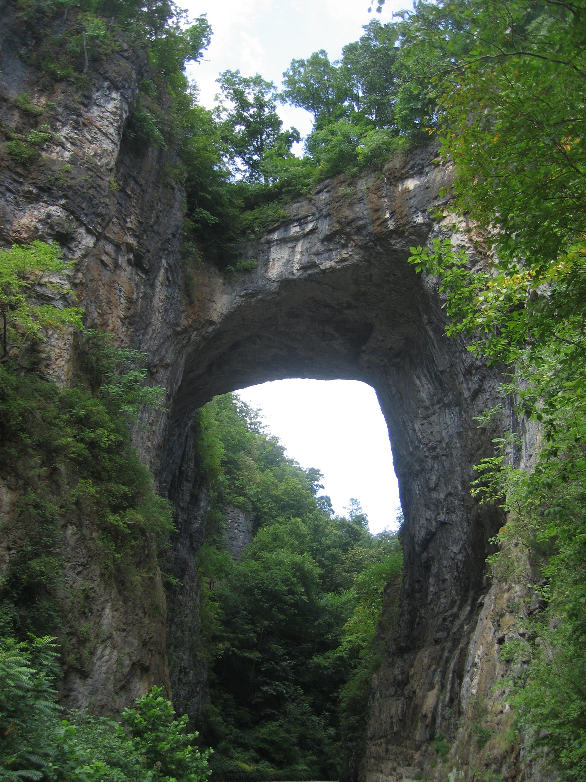 NaturalBridge