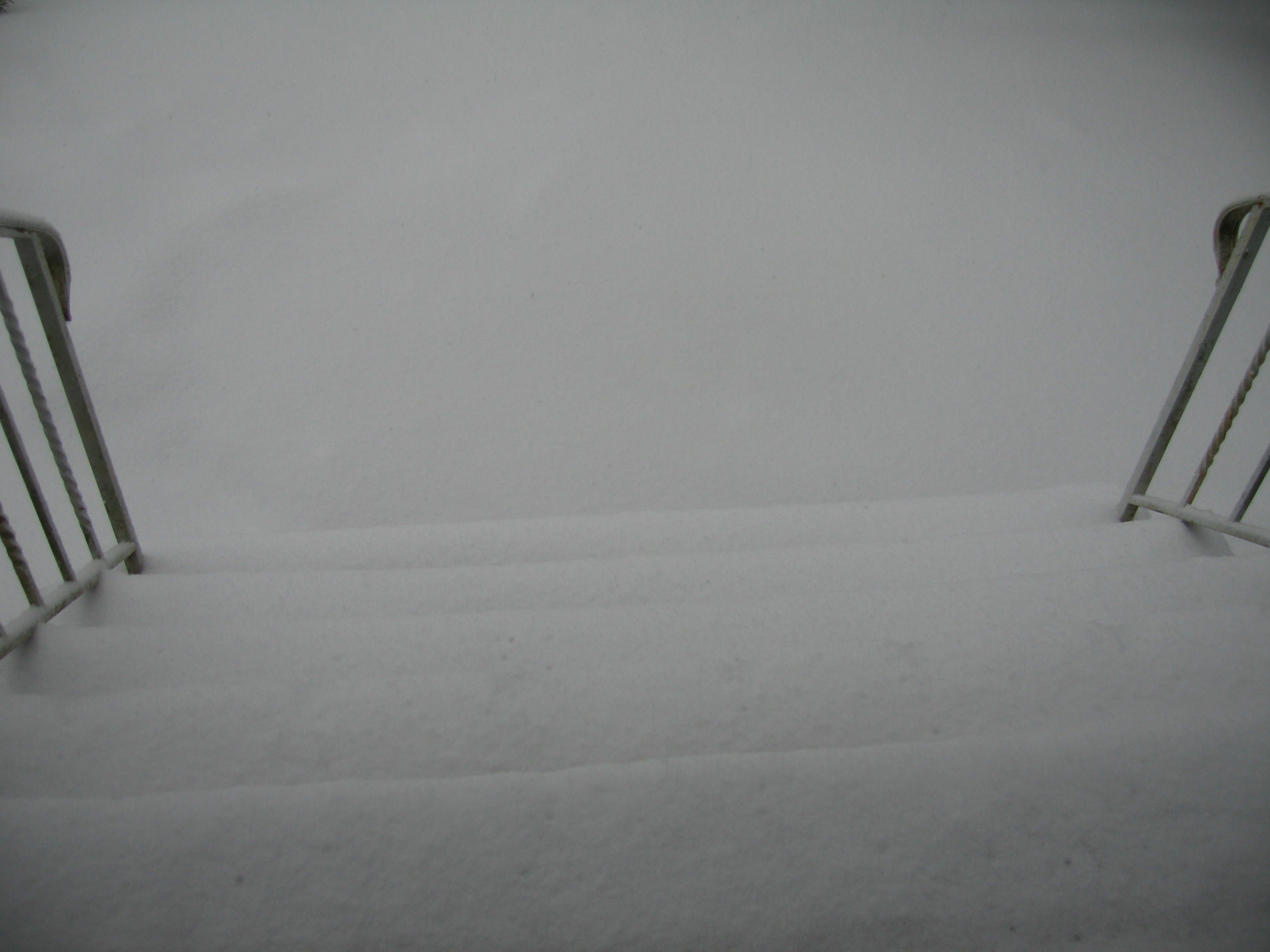 BackSteps020121