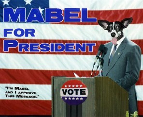 mabelforpresident.jpg