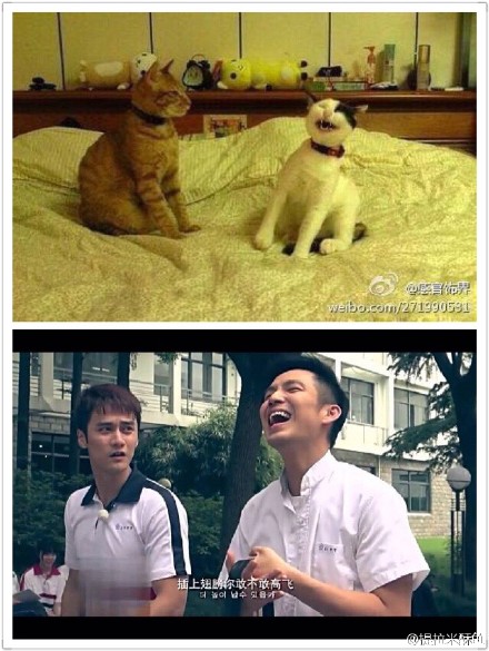 wallace-chung-and-jiang-jinfu