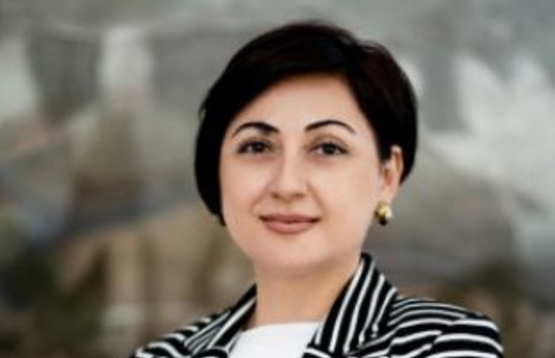 Հայաստանի ազգային գրադարանի տնօրենի պաշտոնում վերընտրվեց Աննա Չուլյանը