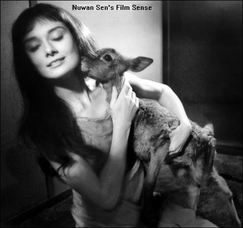 Audrey Hepburn Hitchcock