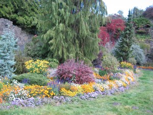 more-2372 vancouver garden