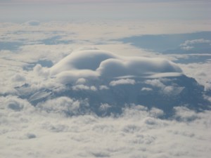 more-3721 sunbathing polar bear cloud