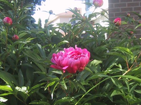 IMG_2793 IMG_2793