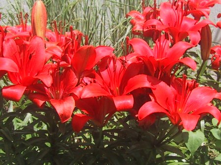 IMG_2800 IMG_2800