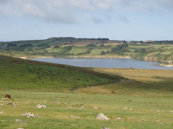 Irrelevant photo: Davidstow Moor.