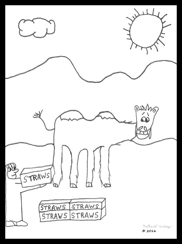 camel-straws
