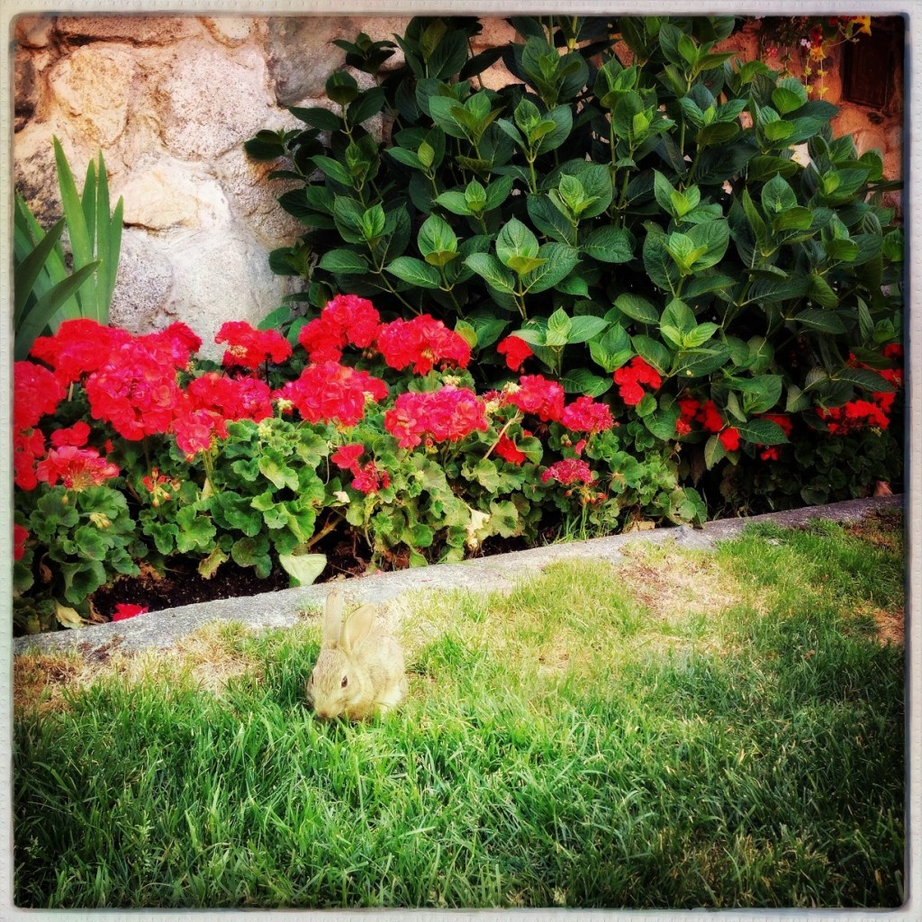iPhoneography Monday: 8-25-14