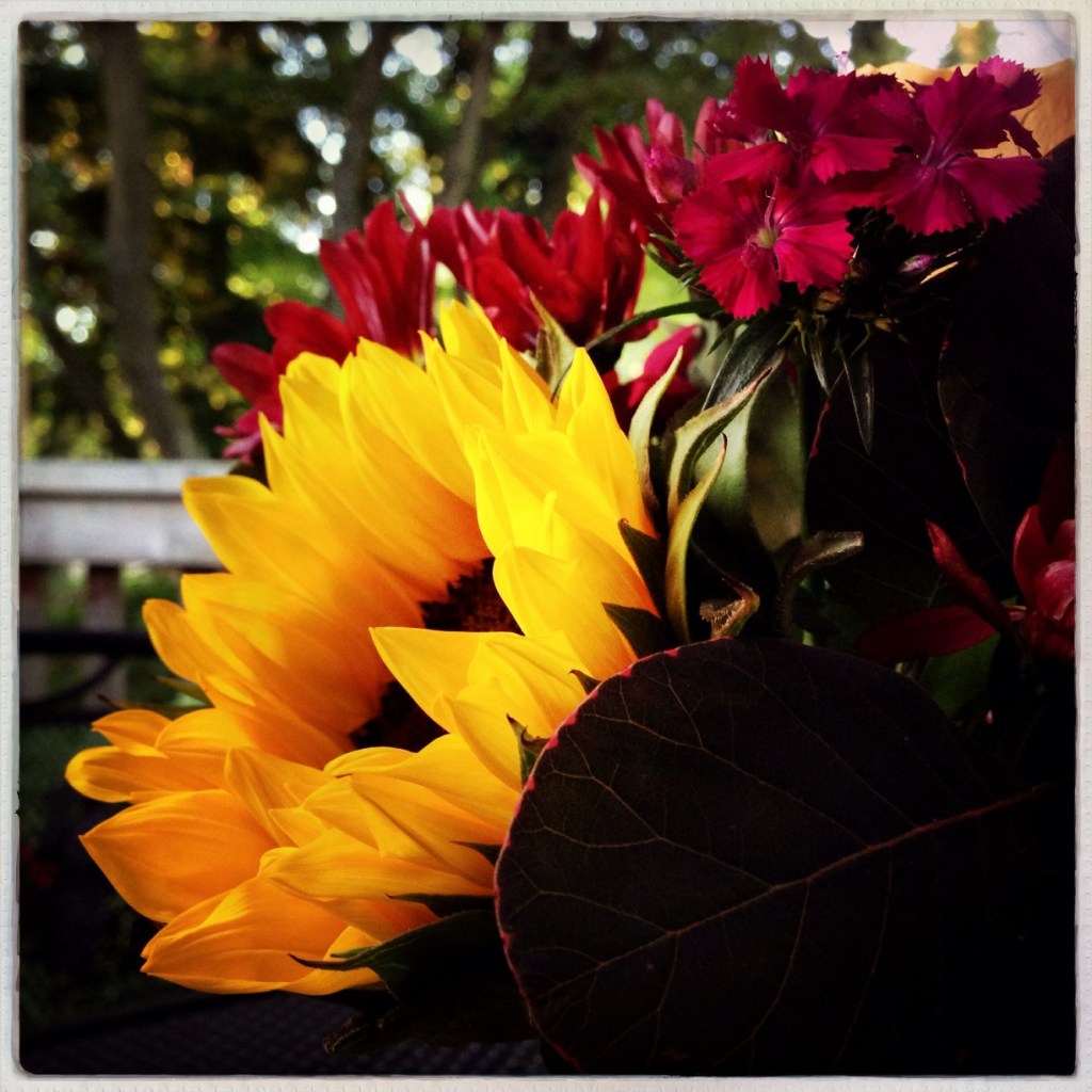 iPhoneography Monday 9-22-14