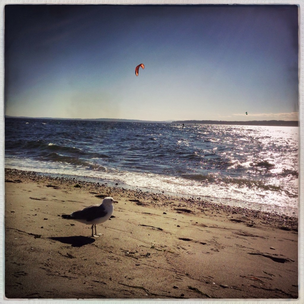 iPhoneography Monday: 10-6-14
