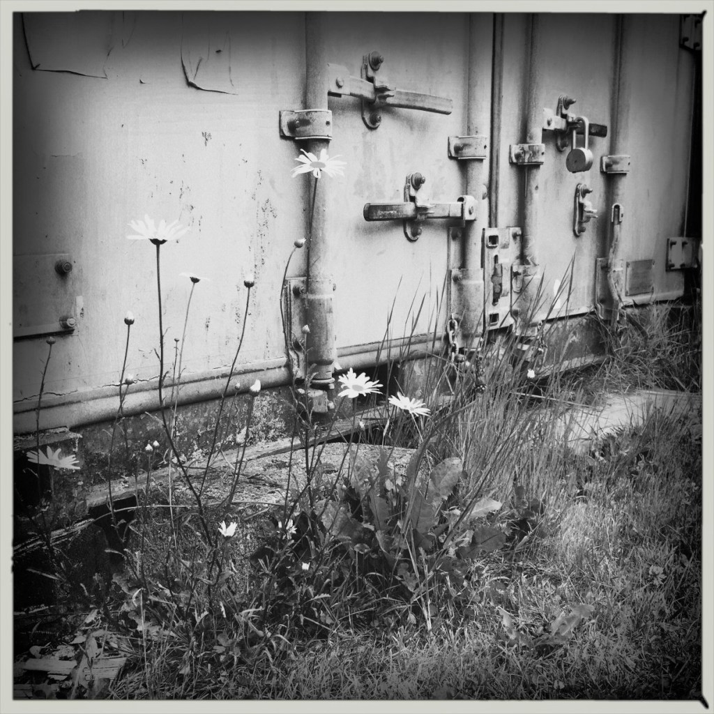 Weekly Photo Challenge: Broken