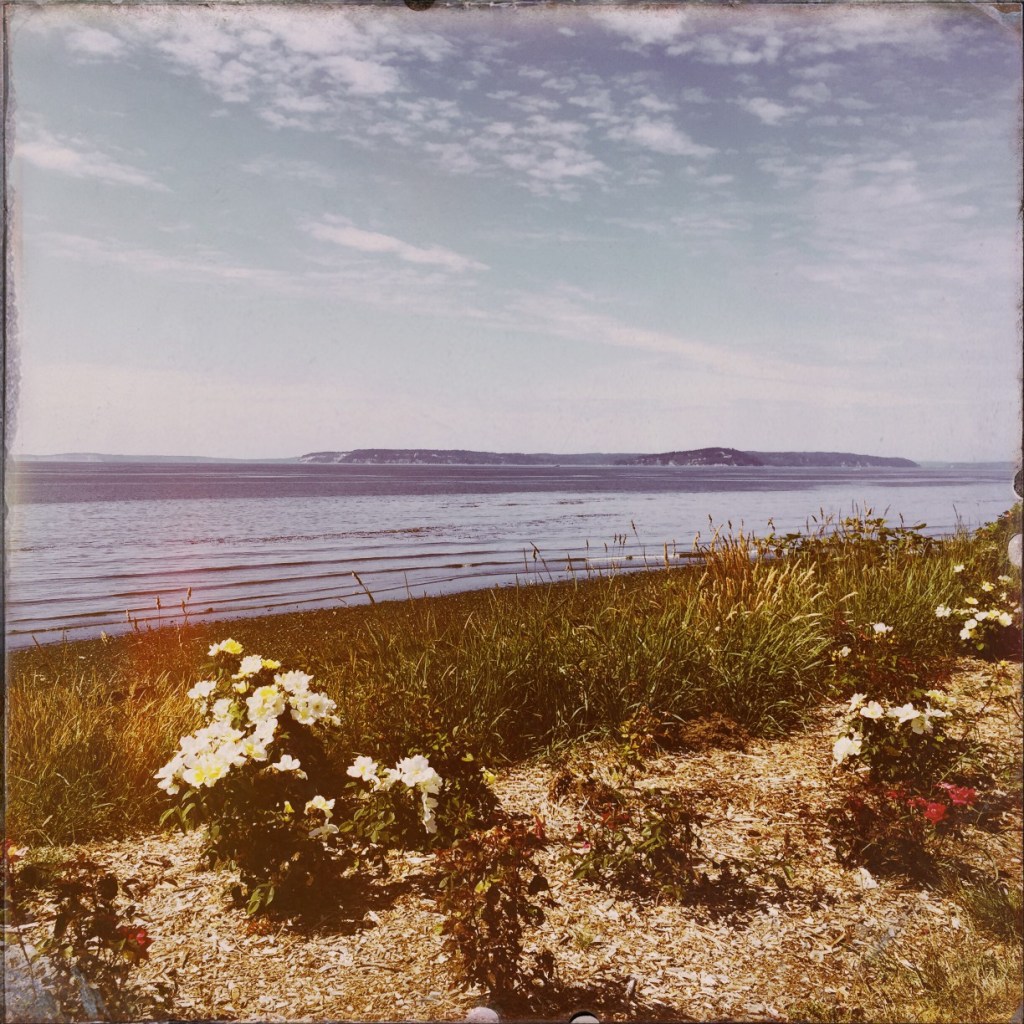 A Surprise Every Day: Shaking Up June With Hipstamatic (week 4)