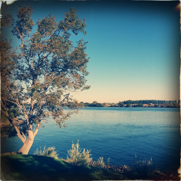 A Surprise Every Day: Shaking Up September With Hipstamatic (week 2)