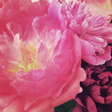 My Year In Photos: May Week 4