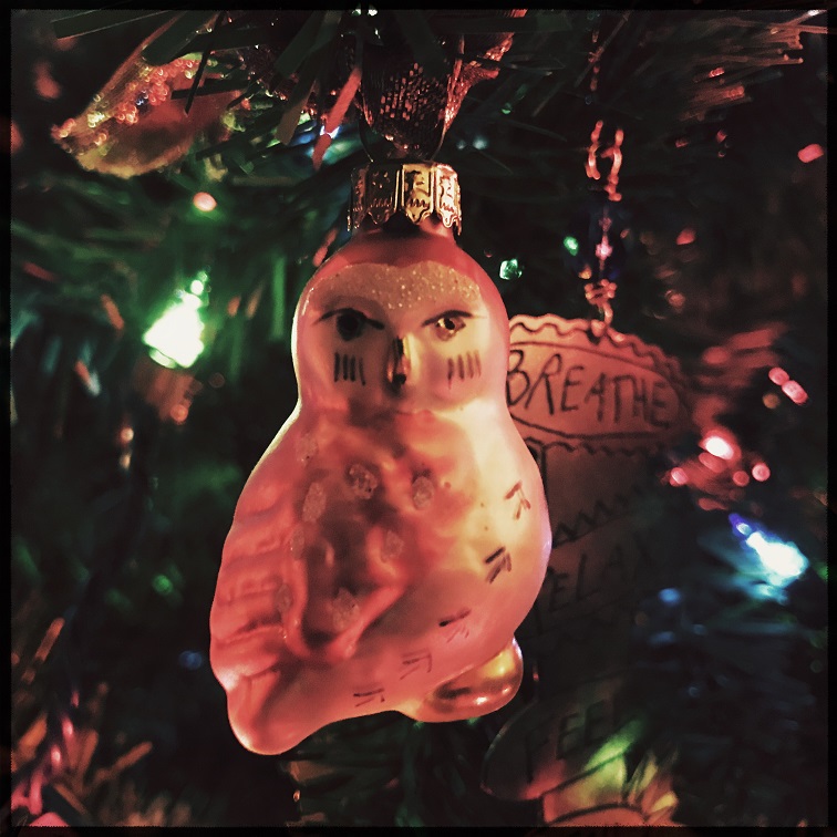 My Year In Pictures: December Week 5