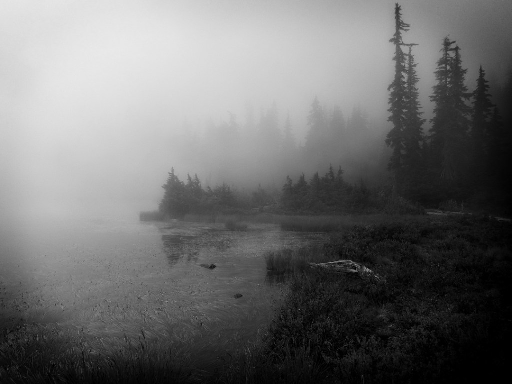 Wordless Wednesday 5-23-18: Summer Fog in the Pacific Northwest