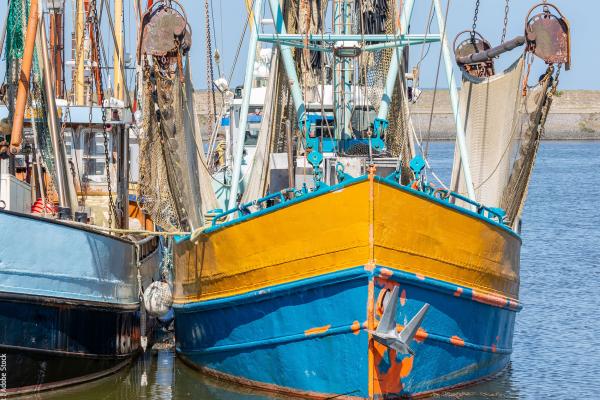 Prawn fishing boat in Dutch harbor Lauwersoog © Kruwt / Adobe Stock