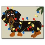 merrydogma