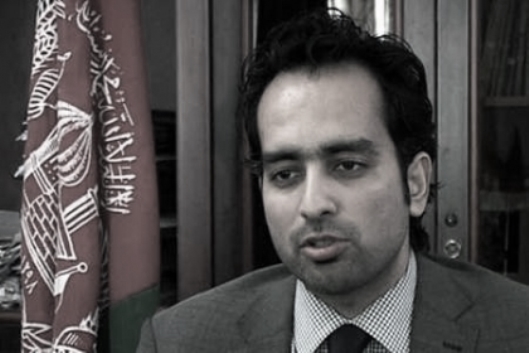 Aimal Faizi, Karzai spokesman...