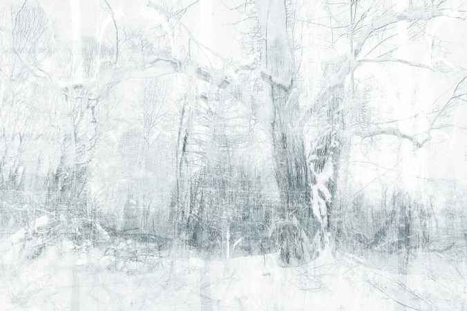 Winter Storm
