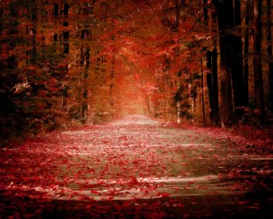 Autumn