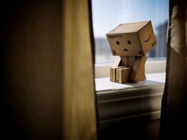 danbo