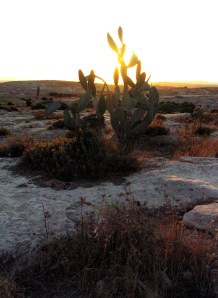susiya-sunset5