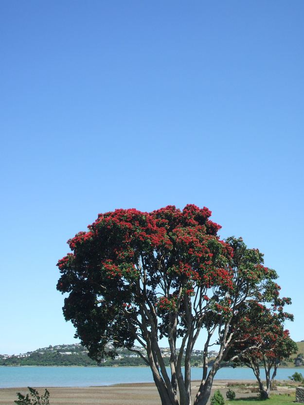2013_0107Image0006